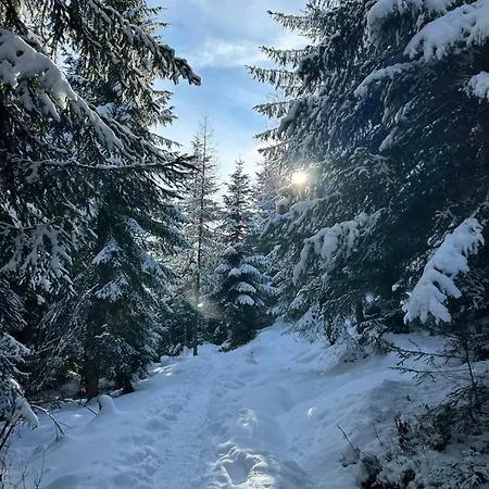 Appartement Nagellehen