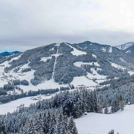 Nagellehen Lejlighed Flachau