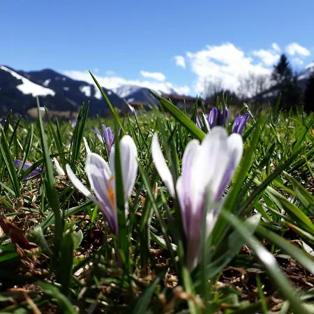 Nagellehen Appartement *