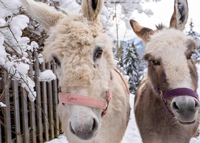 Nagellehen Флахау