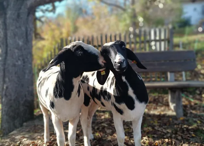 Nagellehen Флахау